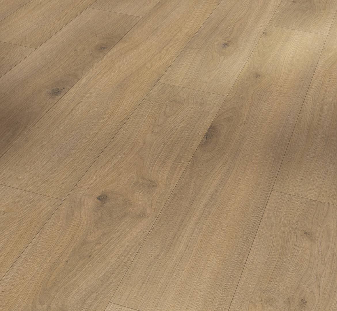 Panele podłogowe PARADOR BASIC 400 oak horizont natural 1593797 gr.8mm, AC4, 4V, (1op=10szt.=2,493m2)