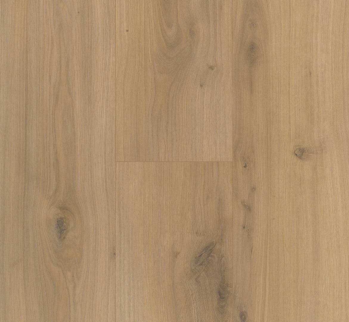 Panele podłogowe PARADOR BASIC 400 oak horizont natural 1593797 gr.8mm, AC4, 4V, (1op=10szt.=2,493m2) 2