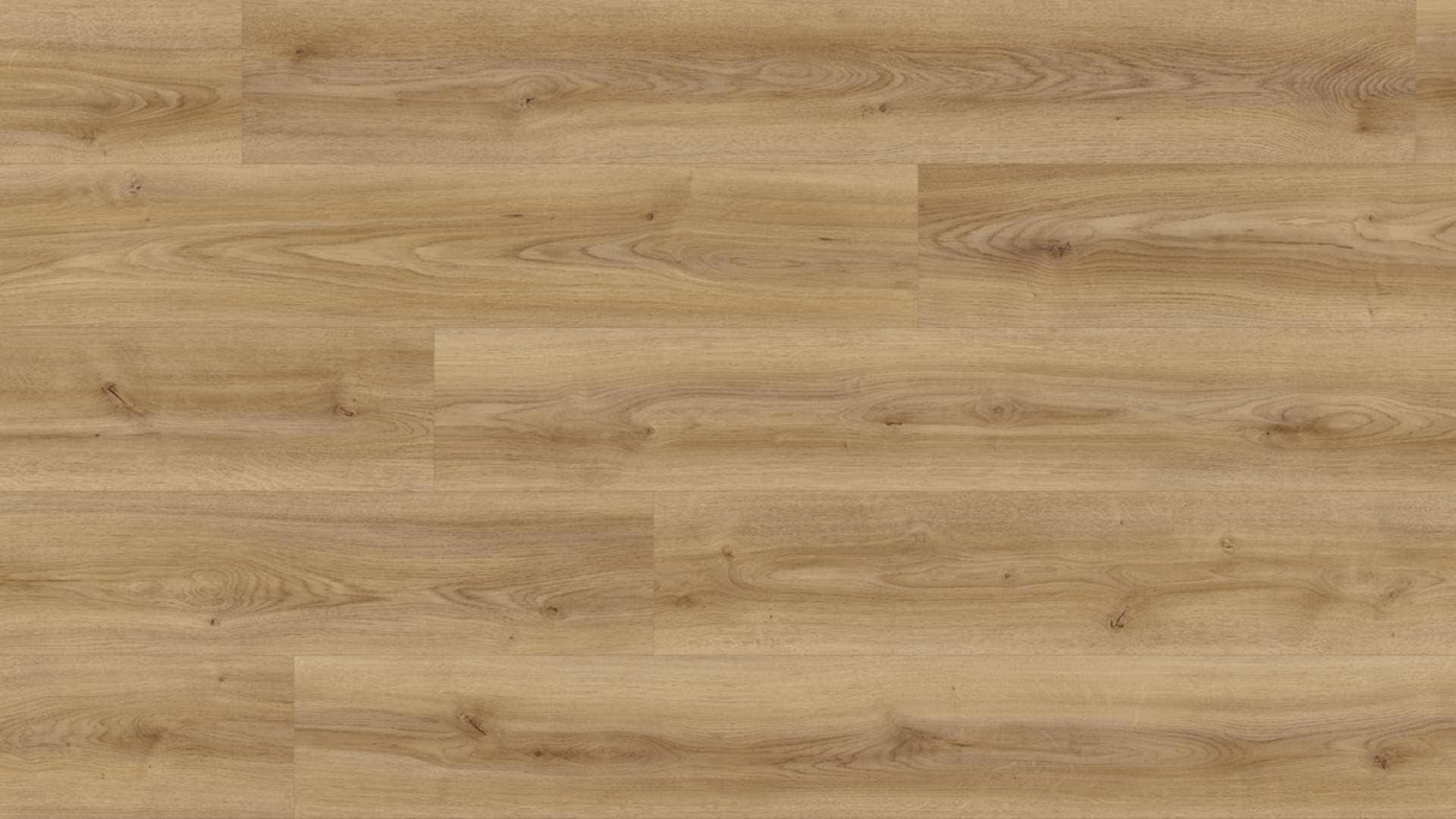 Panele podłogowe Kaindl NATURAL STANDARD PLANK AQUA PRO dąb cordoba elegante K2239, AC5, gr.8mm, 4V(1opk=9szt.=2,402m2)