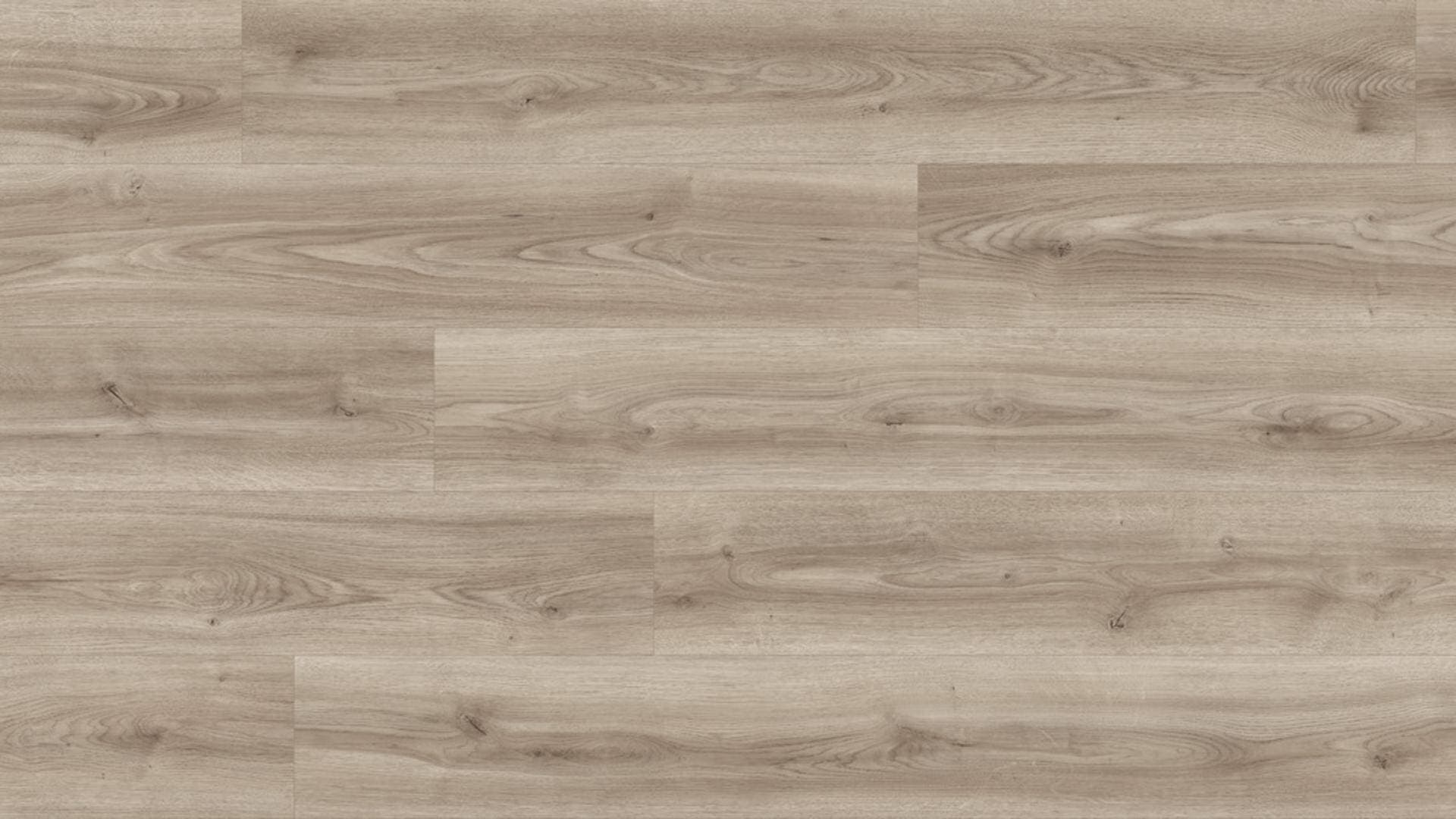 Panele podłogowe Kaindl NATURAL STANDARD PLANK AQUA PRO dąb cordoba moderno K2240, AC5, gr.8mm, 4V(1opk=9szt.=2,402m2)