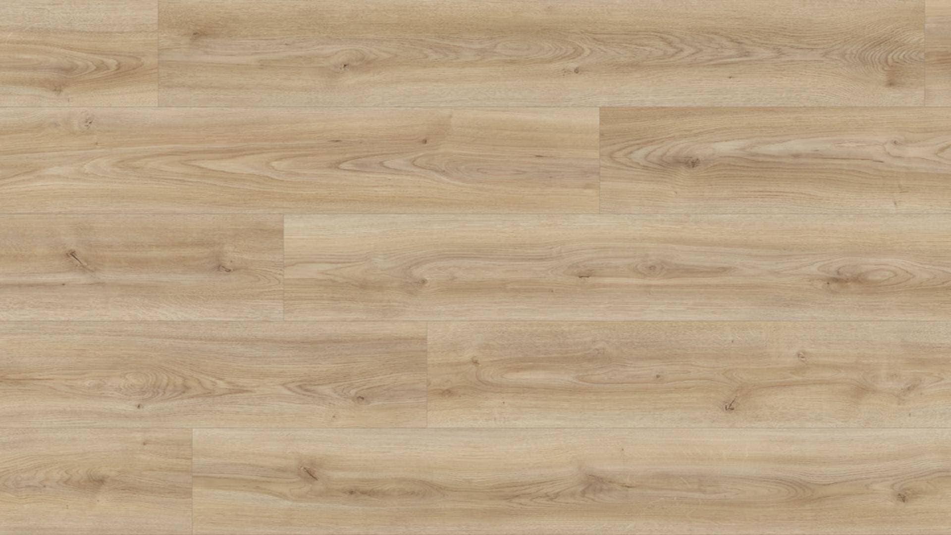 Panele podłogowe Kaindl NATURAL STANDARD PLANK AQUA PRO dąb cordoba crema K2241, AC5, gr.8mm, 4V(1opk=9szt.=2,402m2)