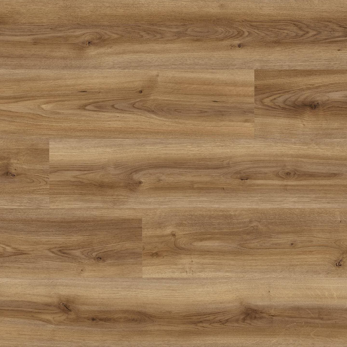 Panele podłogowe Kaindl NATURAL STANDARD PLANK AQUA PRO dąb cordoba noble K2242, AC5, gr.8mm, 4V(1opk=9szt.=2,402m2) 4