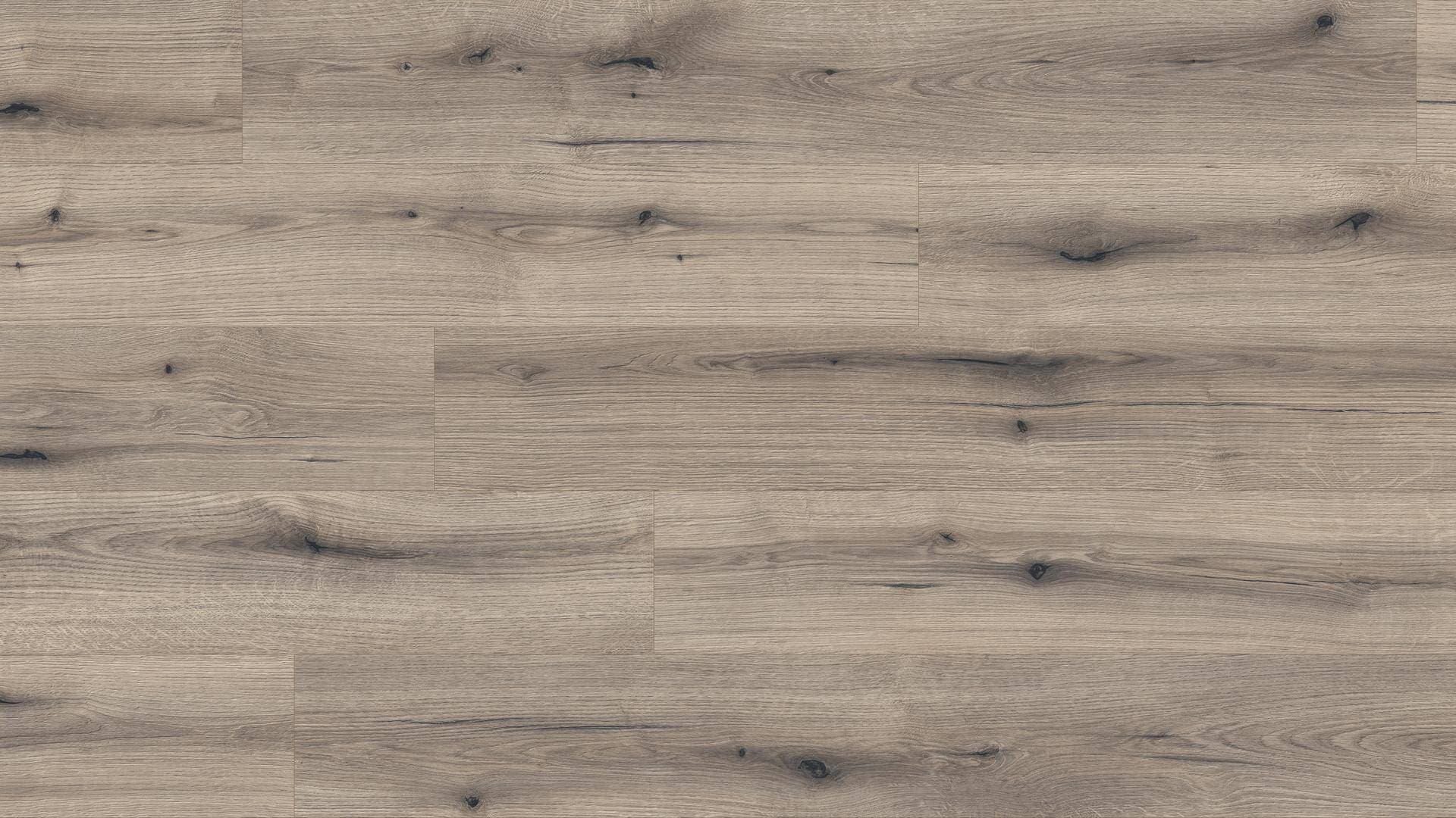 Panele podłogowe Kaindl NATURAL STANDARD PLANK AQUA PRO dąb evoke knot solano K5576, AC5, gr.8mm, 4V(1opk=9szt.=2,402m2)