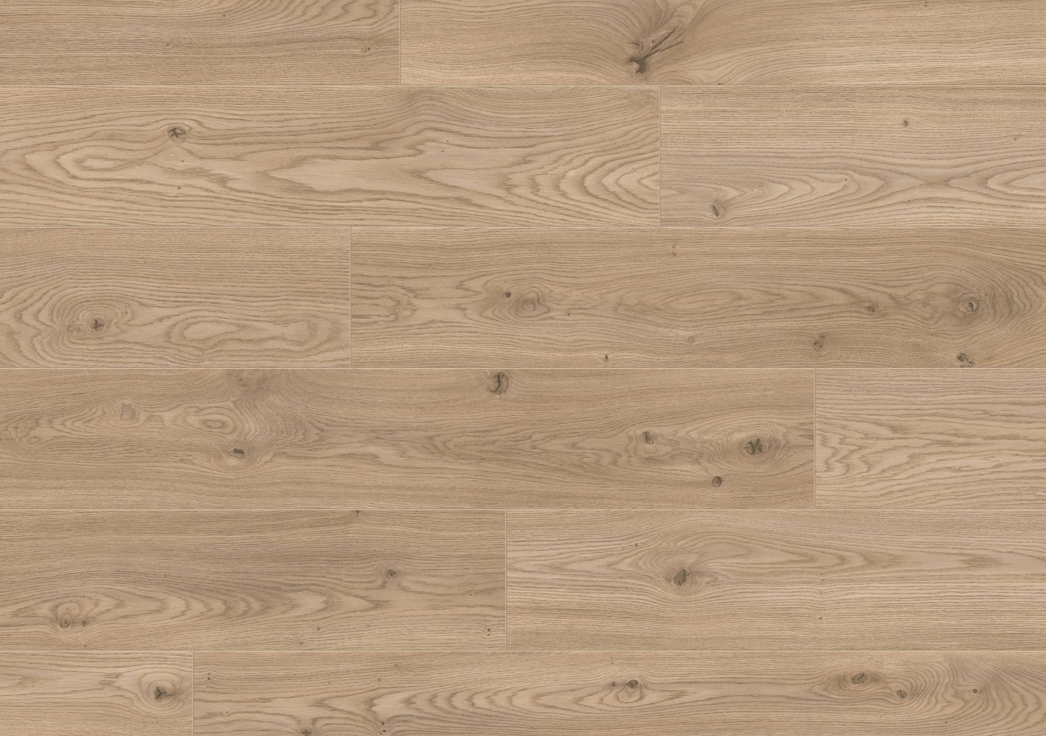 Panele podłogowe PREMIUM FLOOR ULTRA dąb beżowy 88496 AC4, gr.8mm, 4V (1 opk.=9szt.=2,179m2)