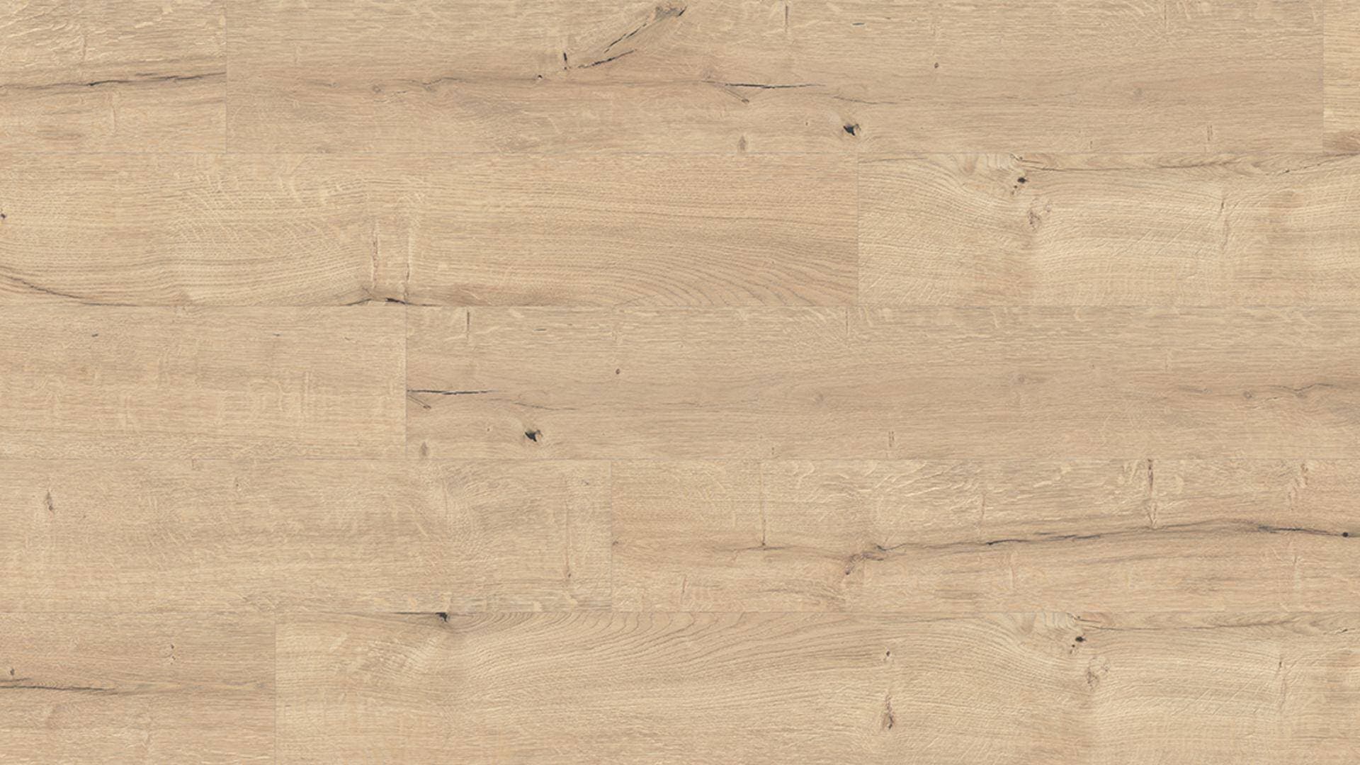 Panele podłogowe Kaindl CLASSIC STANDARD PLANK dąb zermatt castor K2413 AC4, gr.8mm, 4V(1opk=9szt.=2,402m2)