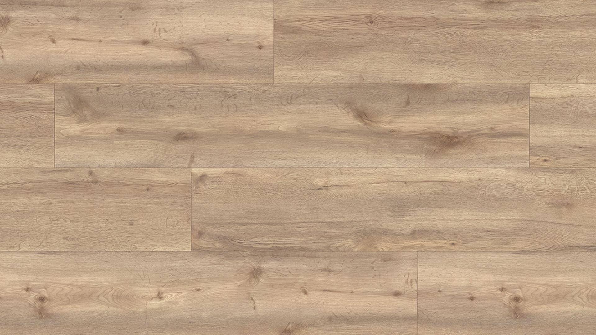 Panele podłogowe Kaindl CLASSIC WIDE PLANK dąb kansas topeka K2595 AC4, gr.8mm, 4V(1opk=8szt.=2,70m2)