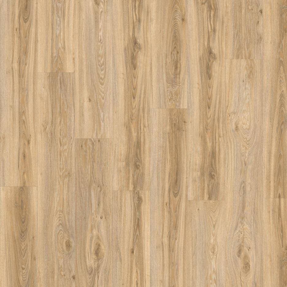 Panele winylowe MODULEO ROOTS 55 Blackjack Oak 22220 klasa 33, gr.2,5mm (1opk.=14szt.=3,62m2) panel