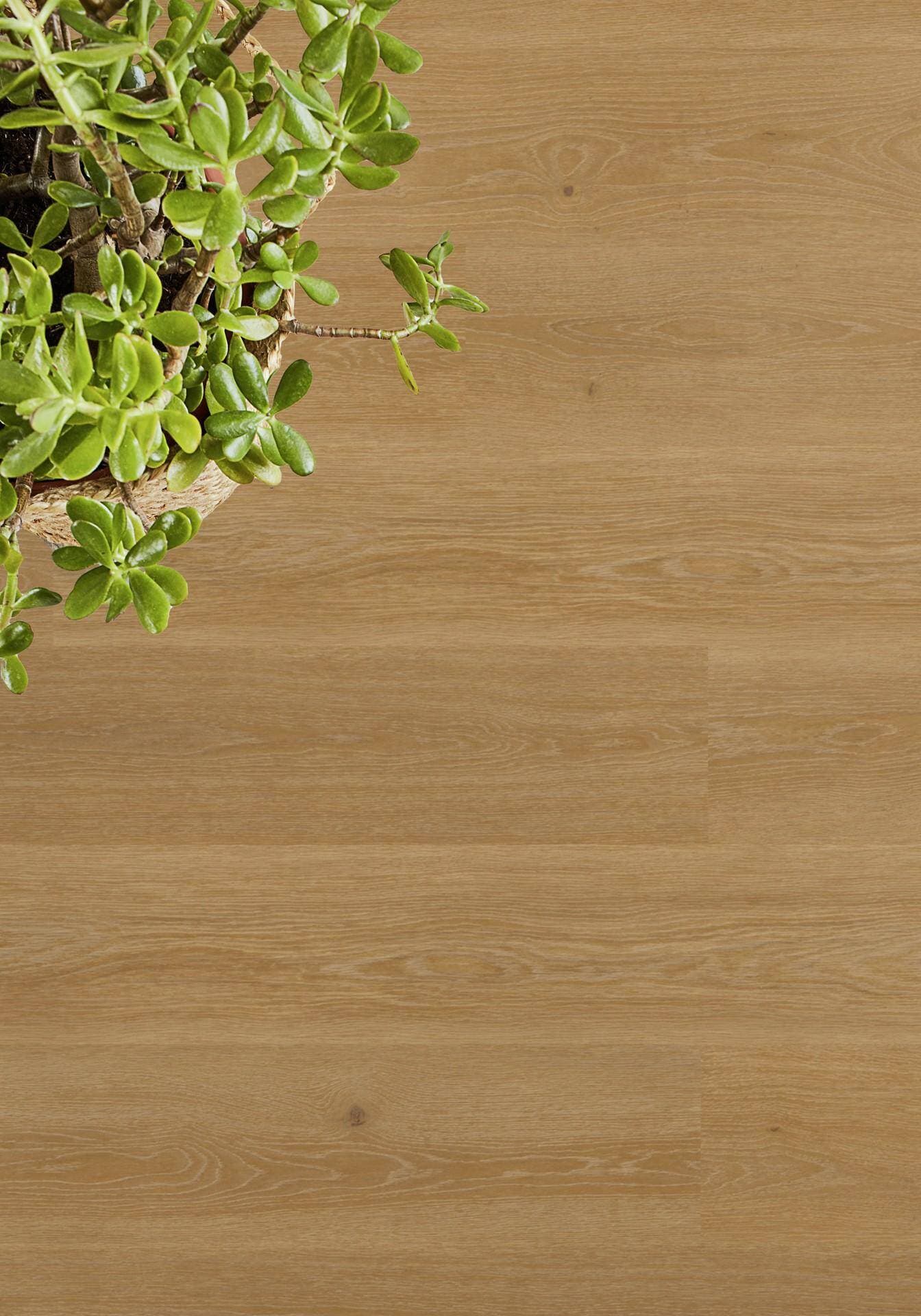 Panele winylowe Tarkett STARFLOOR SOLID 55 highland oak natural 36020002 klasa 33, gr.5mm, 4V (1opk.=7szt.=1,61m2) 5