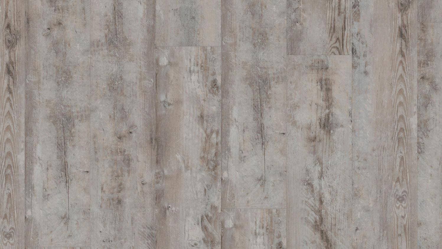 ULTIMATE 55 bohemian pine grege