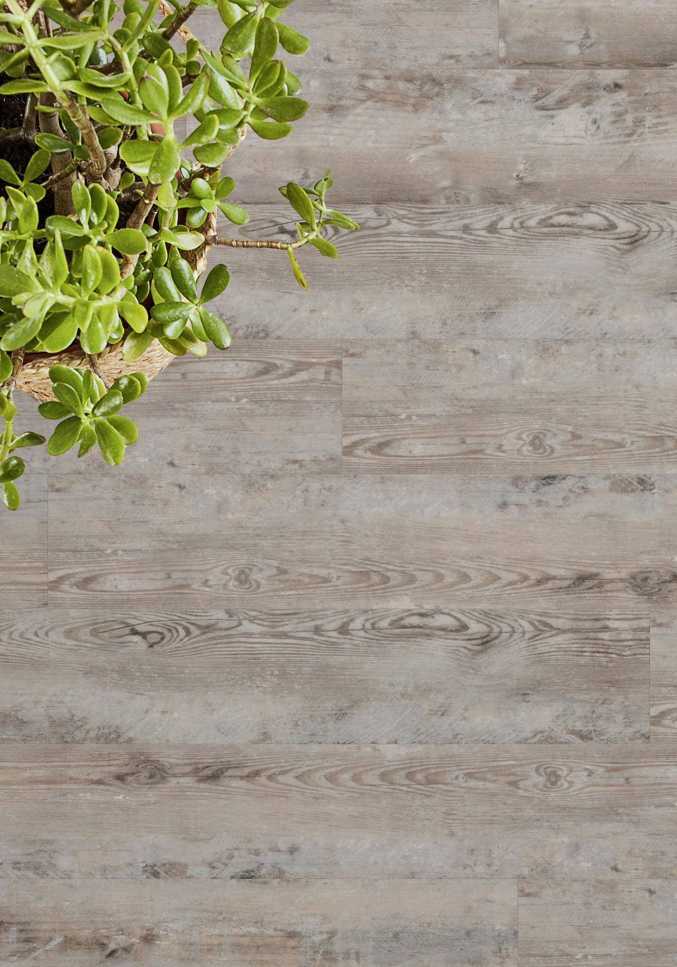 Panele winylowe Tarkett STARFLOOR ULTIMATE 55 bohemian pine grege 35991011 gr.6,5mm, 4V (1opk.=6szt.=1,281m2) 7
