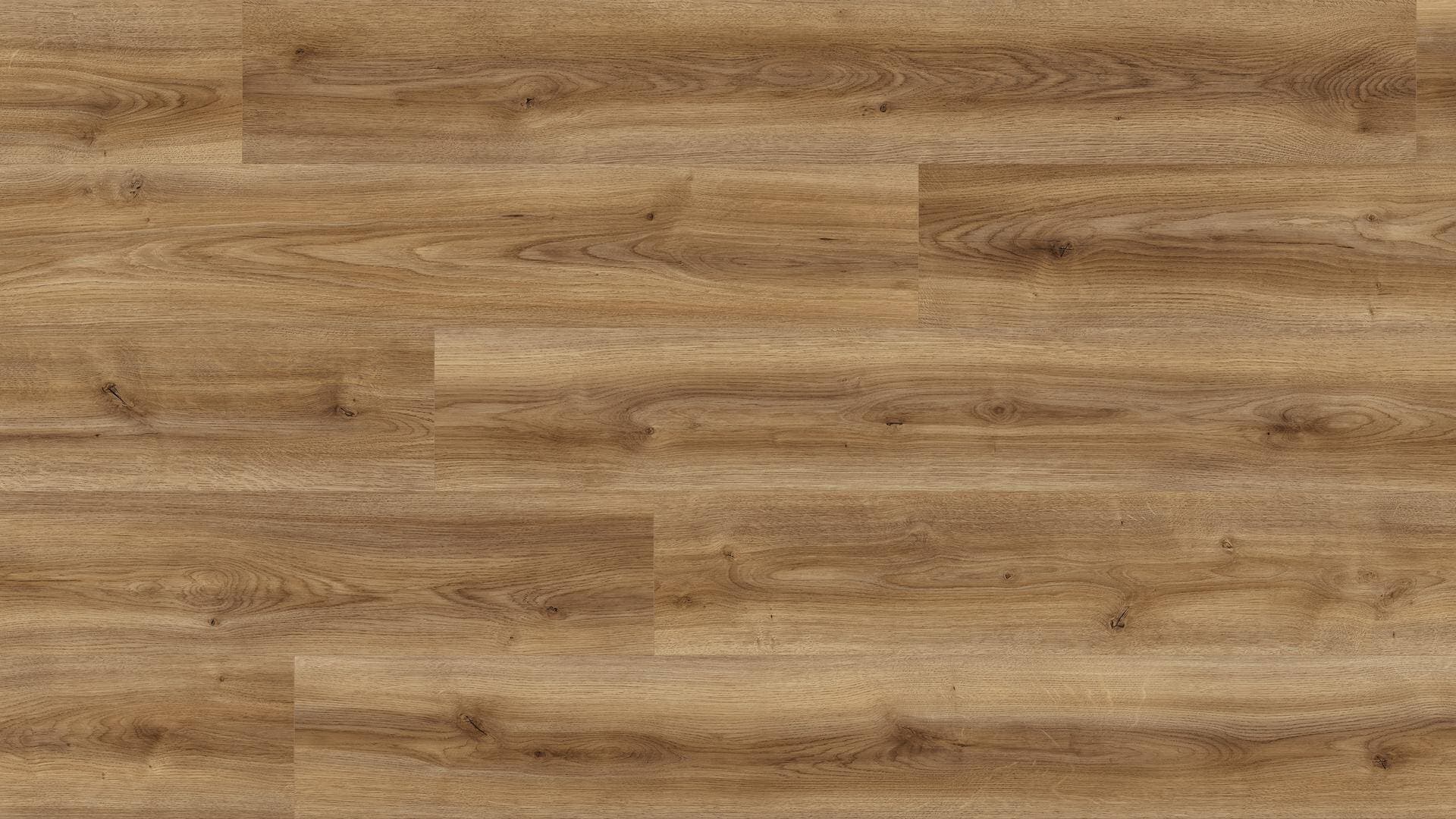 Panele podłogowe Kaindl CLASSIC WIDE PLANK dąb cordoba noble K2242 AC4, gr.8mm, 4V(1opk=8szt.=2,70m2)