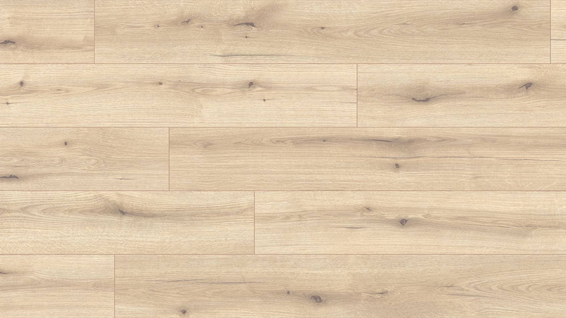 Panele podłogowe Kaindl CLASSIC STANDARD PLANK AQUA PRO dąb evoke vanilla K2205, AC5, gr.10mm, 4V(1opk=8szt.=1,992m2)
