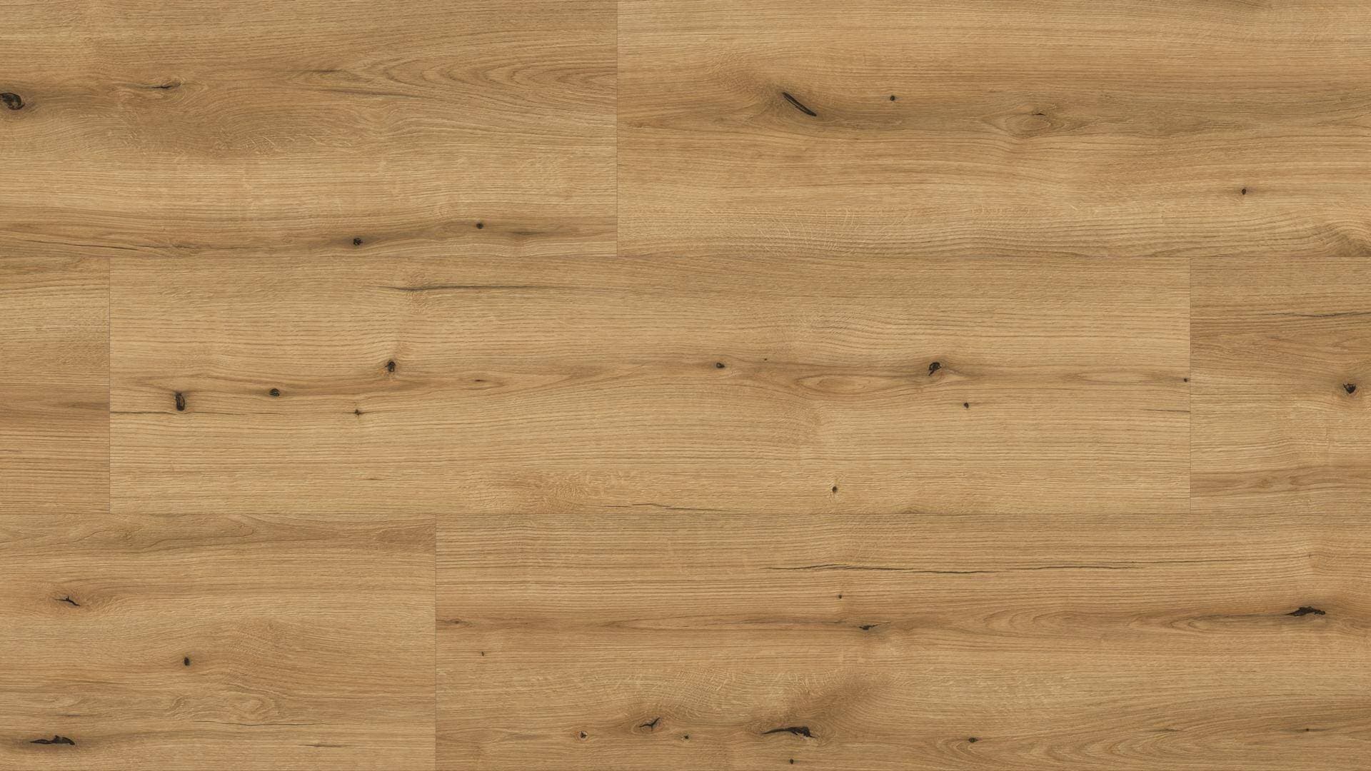 Panele podłogowe Kaindl CLASSIC STANDARD PLANK AQUA PRO dąb evoke coast K5573, AC5, gr.10mm, 4V(1opk=8szt.=1,992m2)