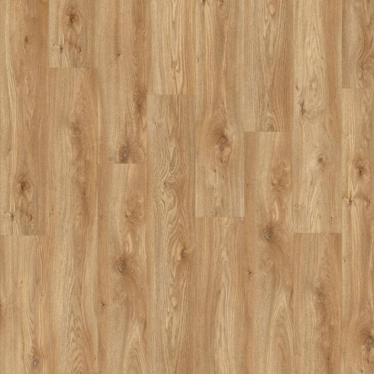 Panele winylowe MODULEO ROOTS 55 EIR Sierra Oak 58346 gr.2,5mm (1opk.=14szt.=3,62m2) panel