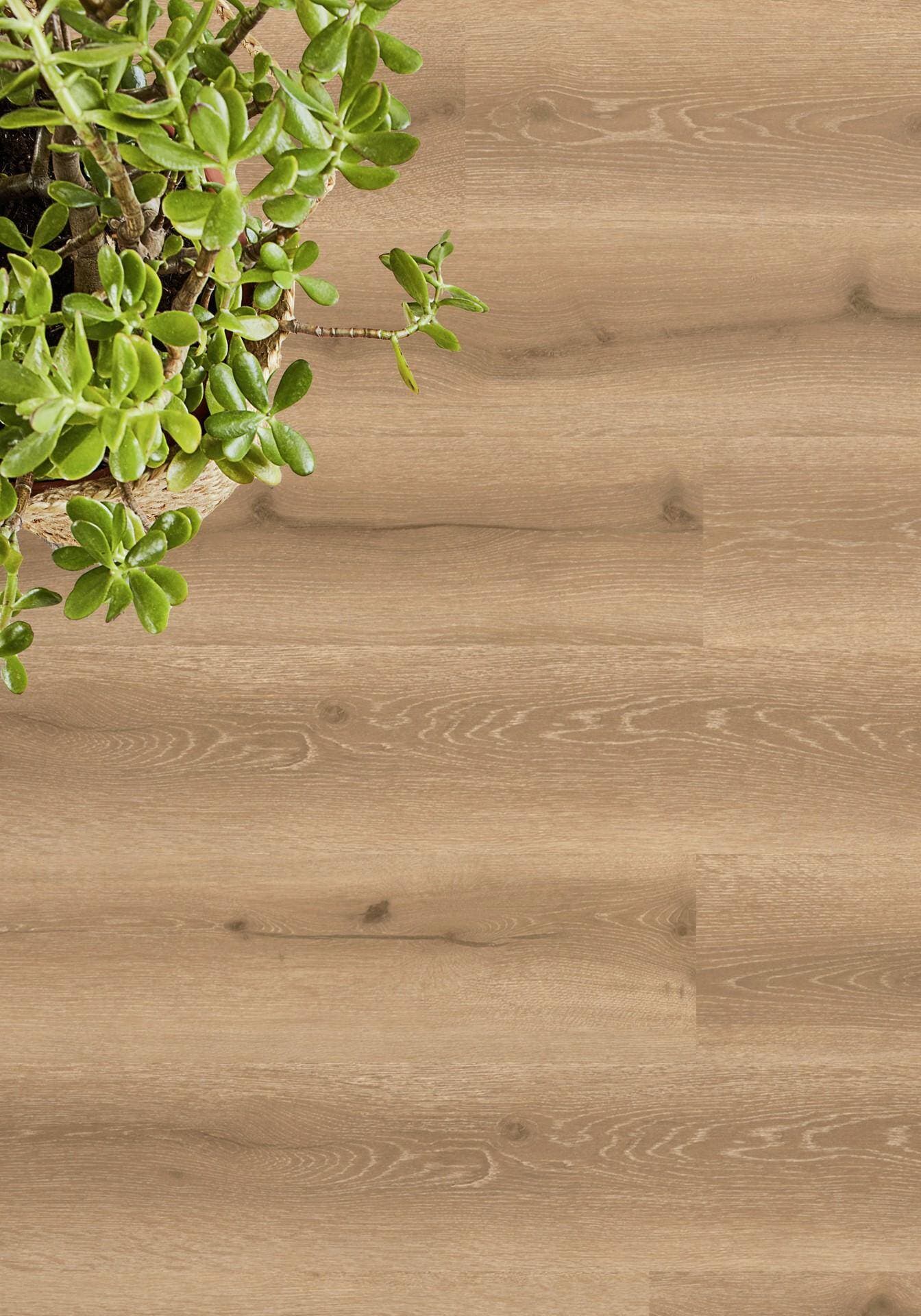 Panele winylowe Tarkett ELEGANCE RIGID 55 limousin oak natural 280006005 klasa 33, gr.5,5mm, 4V (1opk.=9szt.=2,1654m2) 3