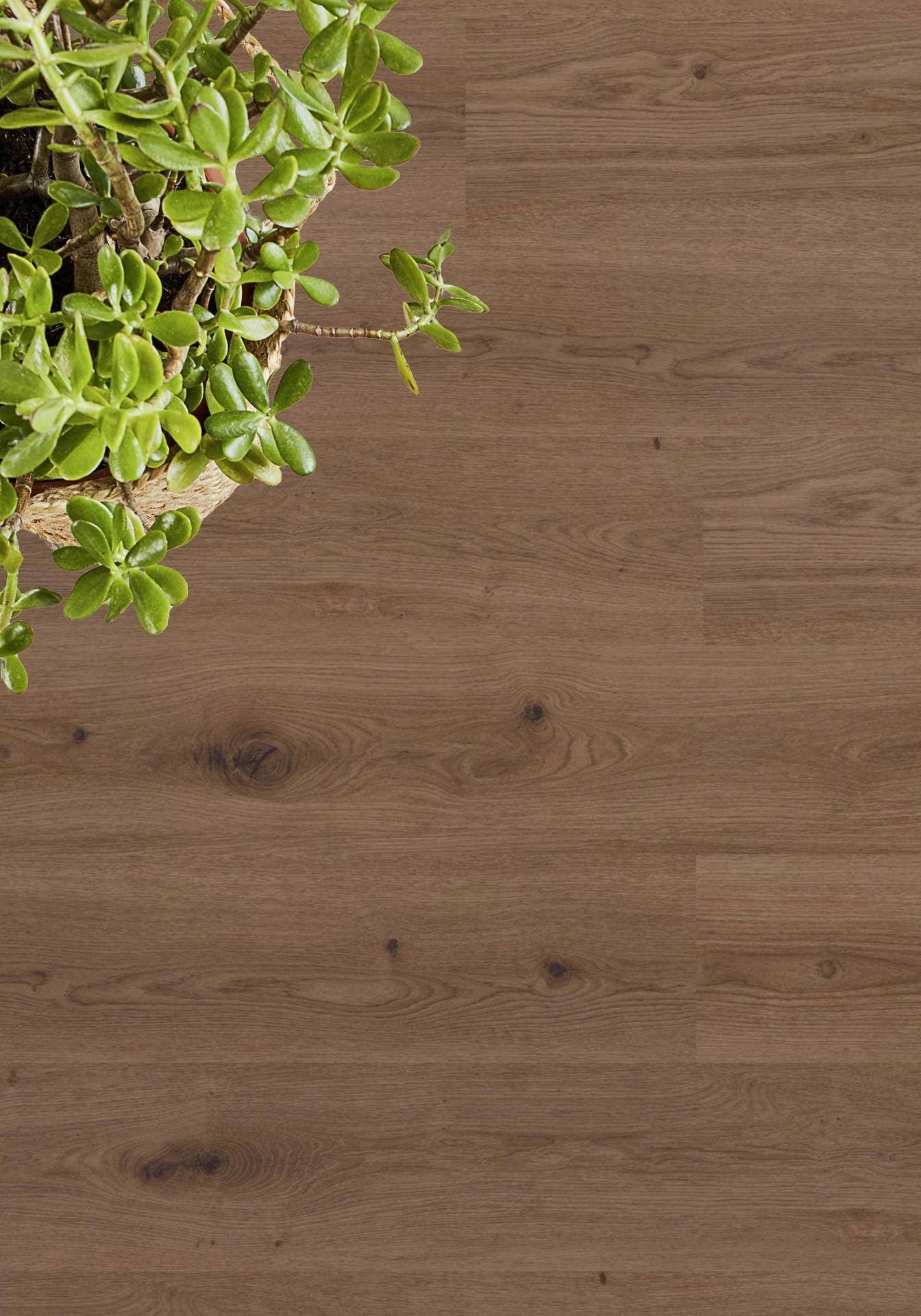 Panele winylowe Tarkett ELEGANCE RIGID 55 delicate oak brown 280007016 klasa 33, gr.5,5mm, 4V (1opk.=9szt.=2,1654m2) 11