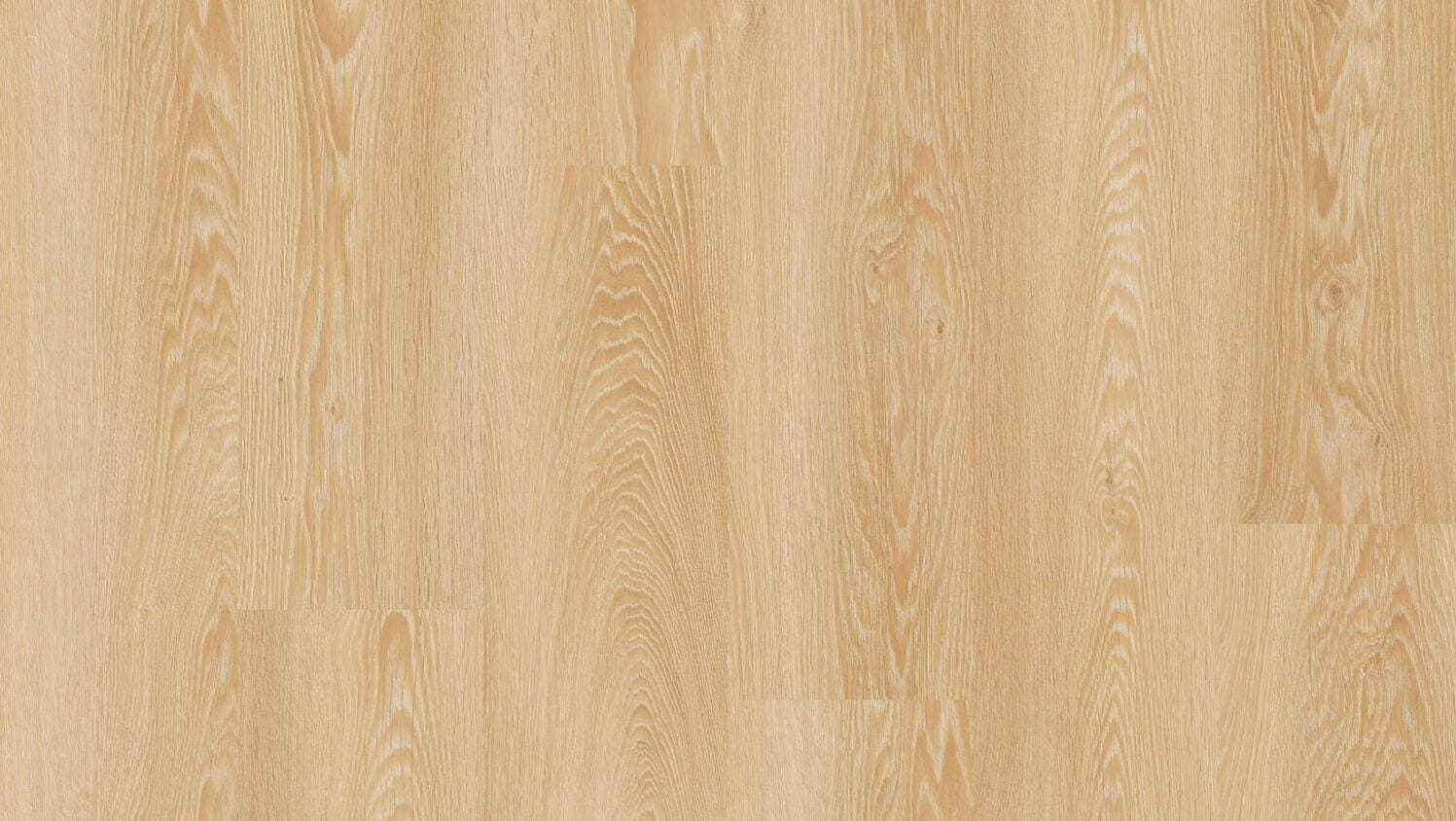cool oak classic