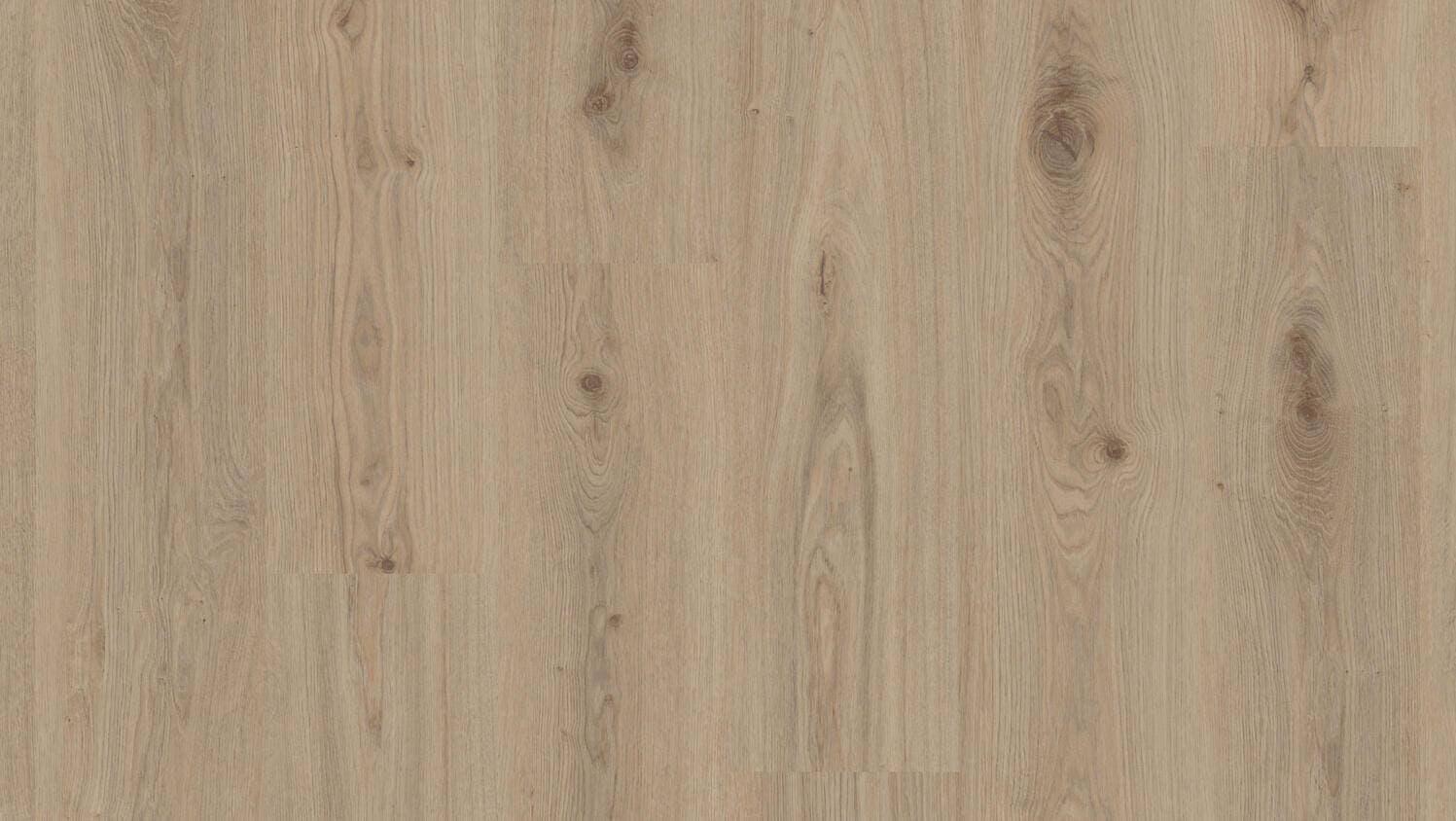primary oak natural