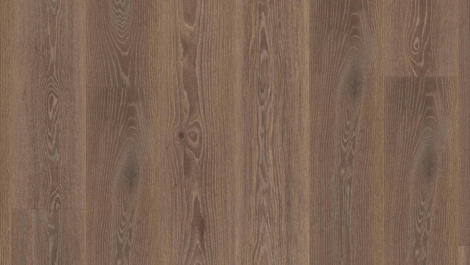 tribe oak mocha