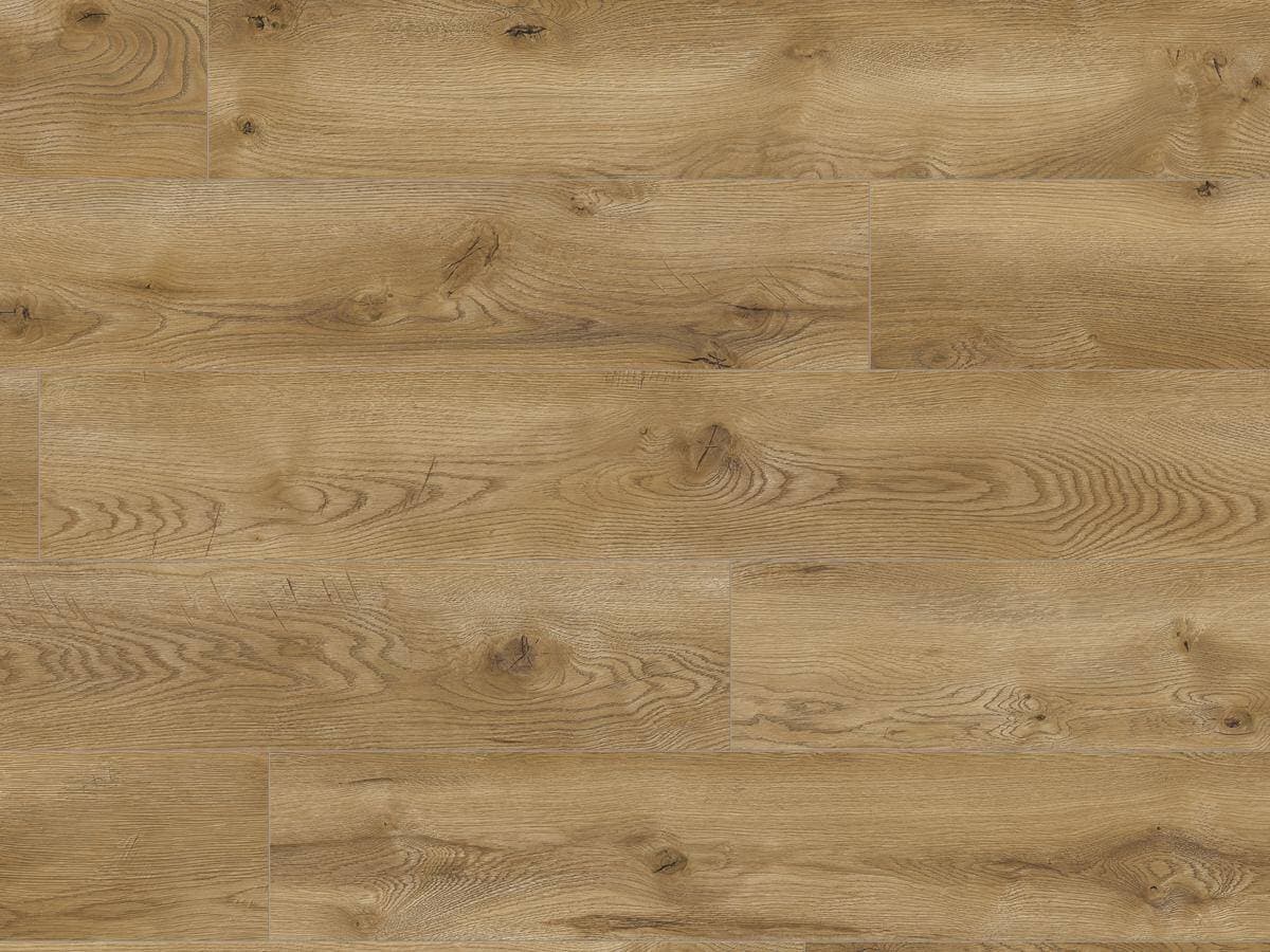 Panele podłogowe CLASSEN EUPHORIA AQUASTOP dąb Genova 64850 AC5, gr. 8 mm, 4V (1opk.=8szt.=1,972m2)