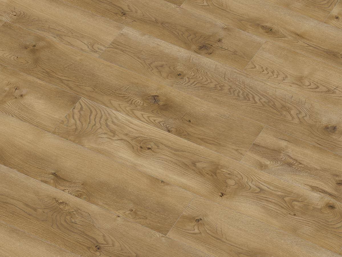 Panele podłogowe CLASSEN EUPHORIA AQUASTOP dąb Genova 64850 AC5, gr. 8 mm, 4V (1opk.=8szt.=1,972m2) 5