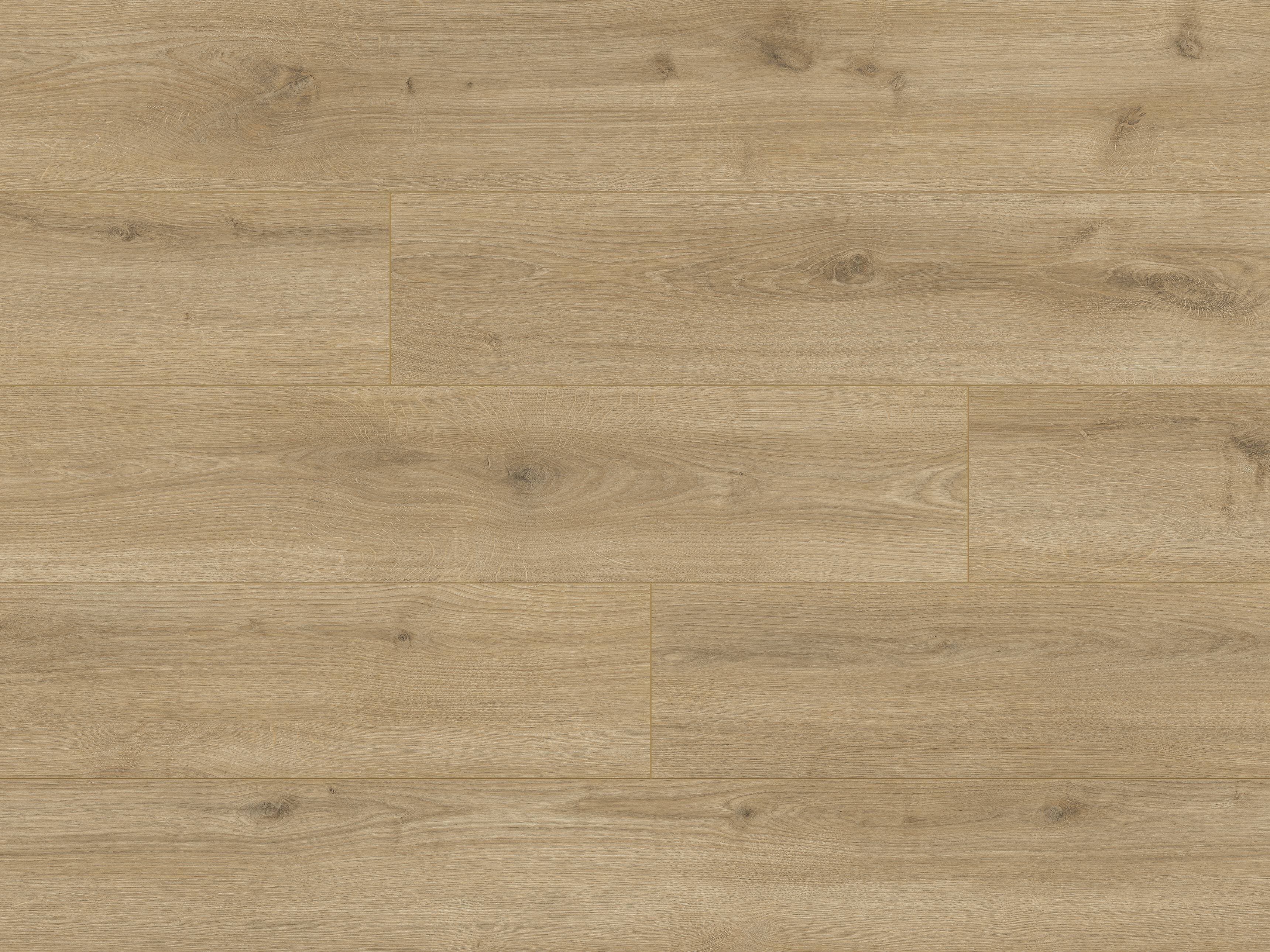 Panele podłogowe CLASSEN LIFE AQUASTOP dąb Bari 64973 AC5, gr.8mm, 4V (1opk.=9szt.=2,22 m2)