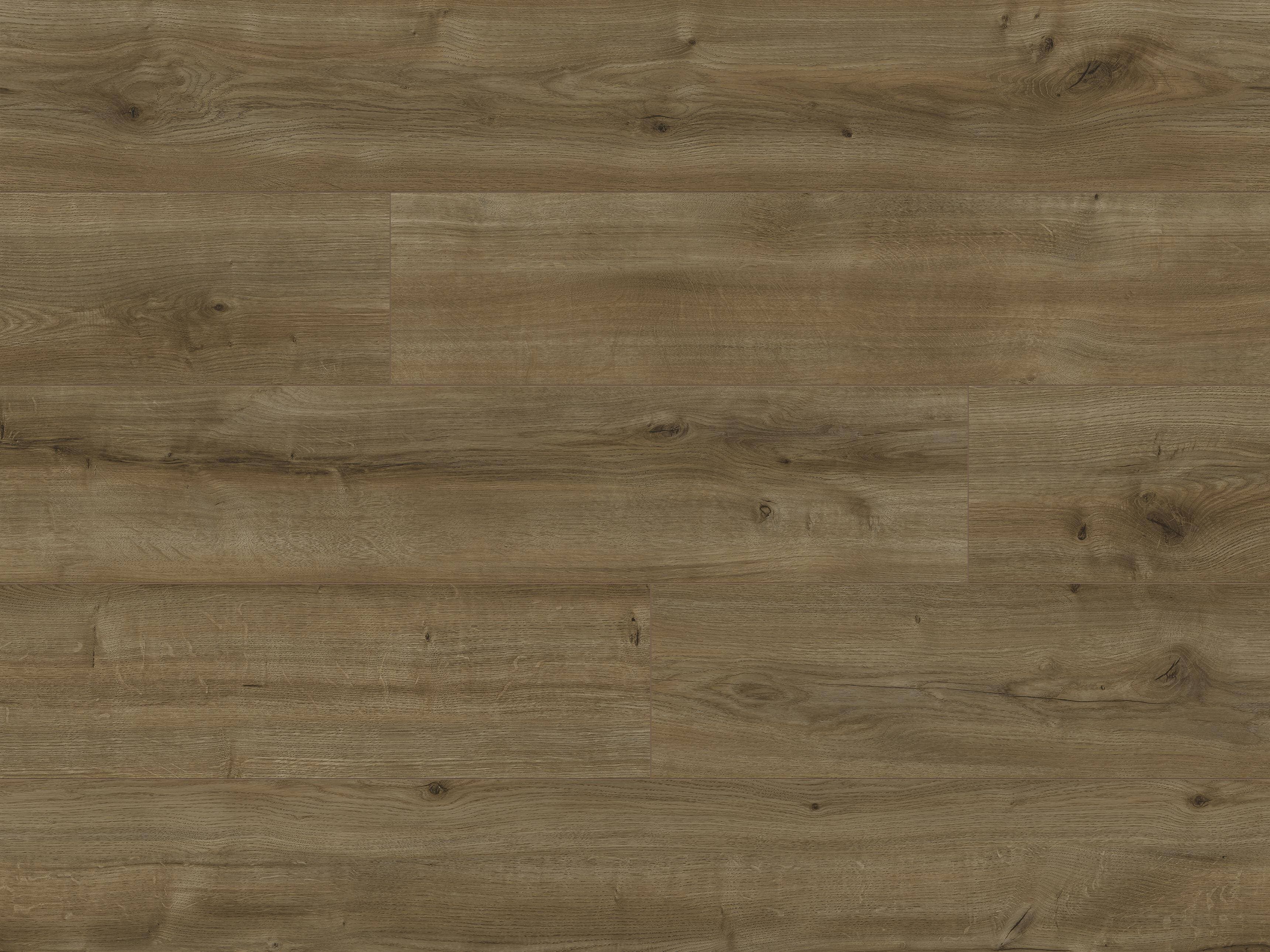 Panele podłogowe CLASSEN LIFE AQUASTOP dąb Siena 64981 AC5, gr.8mm, 4V (1opk.=9szt.=2,22 m2)