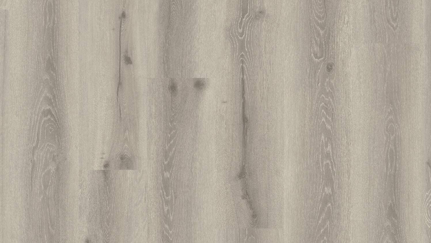 55 limousin oak grege