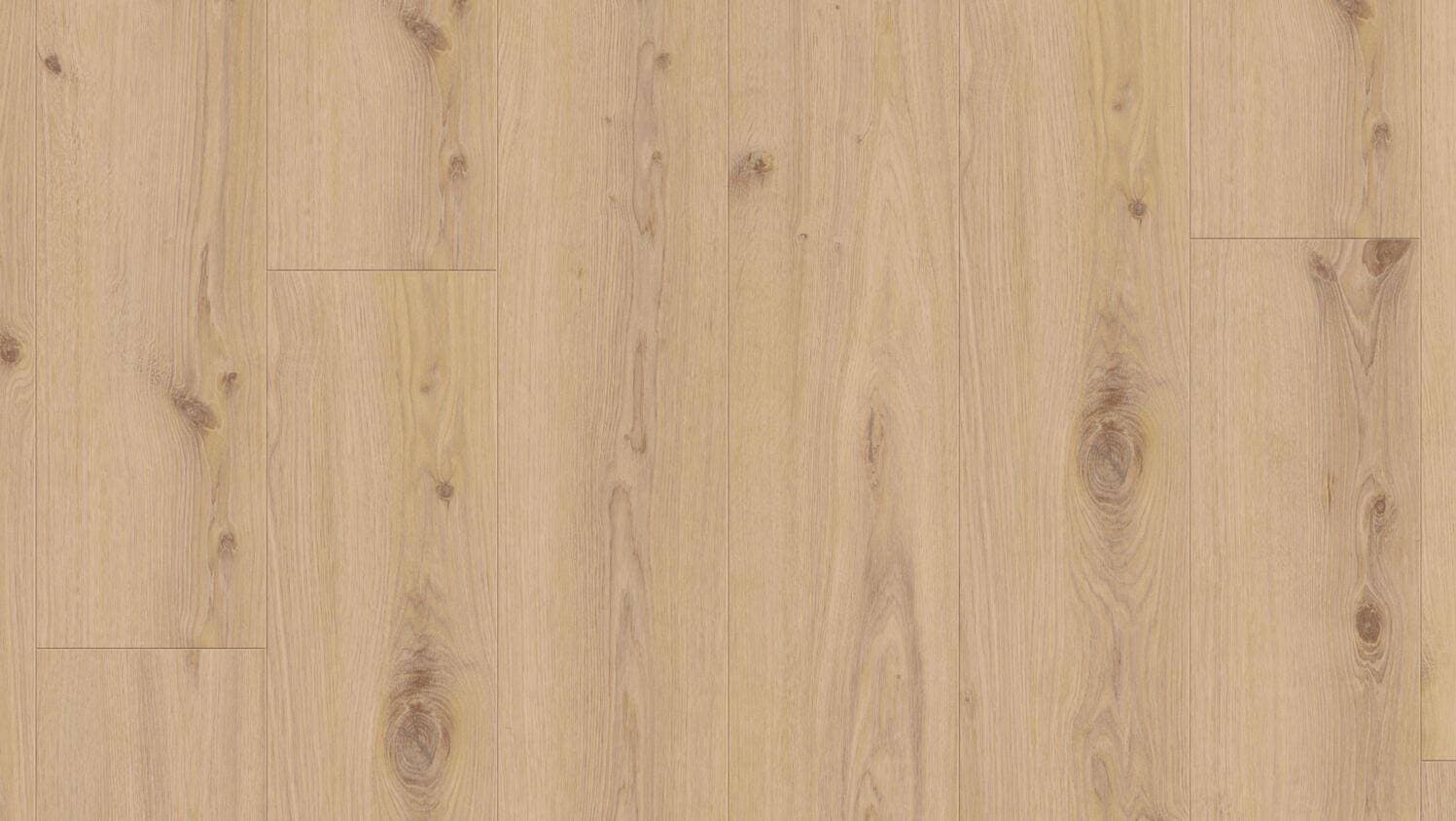 primary oak beige